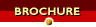 [Brochure]